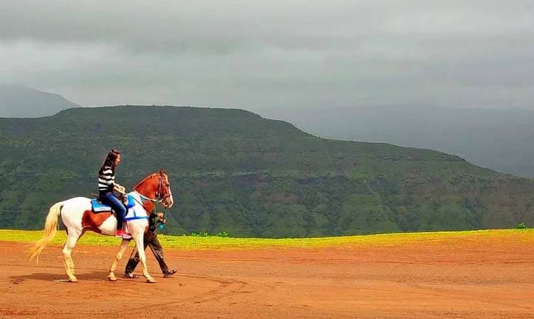 Government Museum and Art Gallery